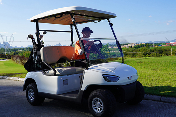 2 seater golf buggy for sale