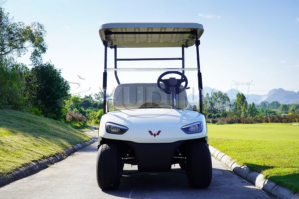 Dinis golf carts with 2 seater