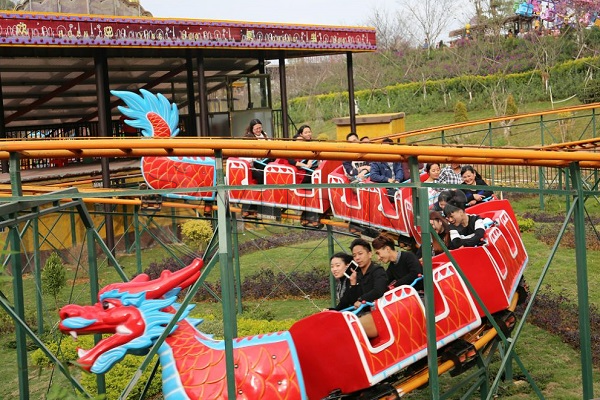 amusement park roller coaster rides for sale