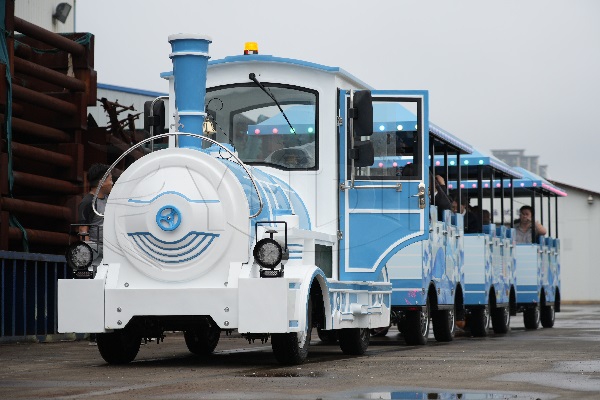 amusement trains for sale at Dinis